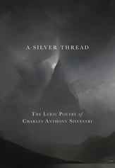 A Silver Thread book cover
